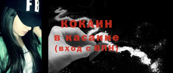 PSILOCYBIN Бородино