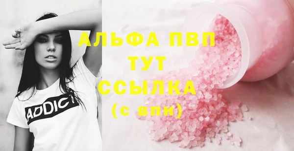 PSILOCYBIN Бородино