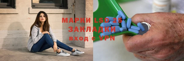 PSILOCYBIN Бородино