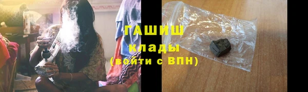 индика Бронницы