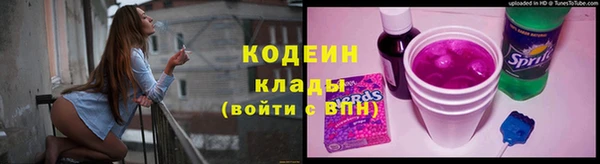 индика Бронницы