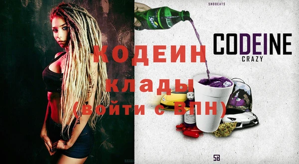 индика Бронницы