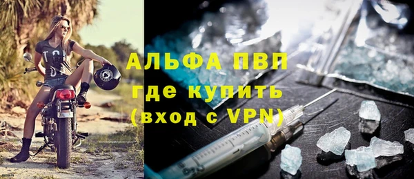 индика Бронницы