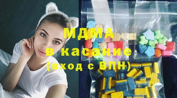 индика Бронницы