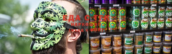 PSILOCYBIN Бородино