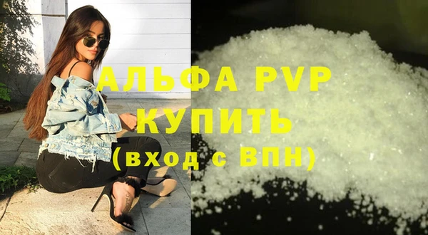 PSILOCYBIN Бородино