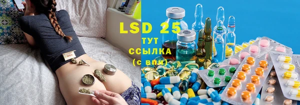 индика Бронницы
