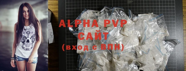индика Бронницы