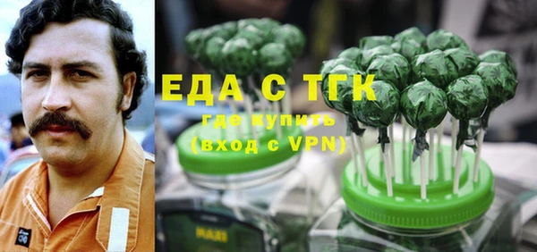 индика Бронницы