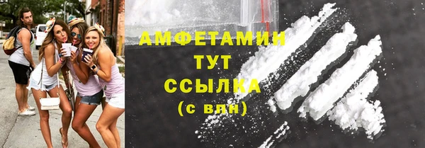 PSILOCYBIN Бородино