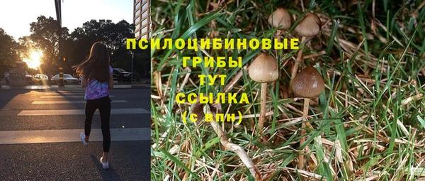 индика Бронницы