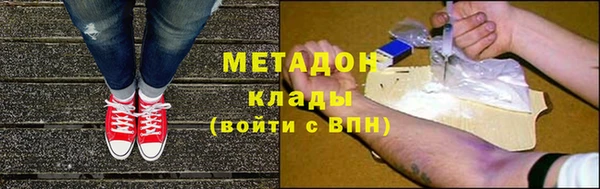 PSILOCYBIN Бородино