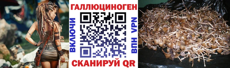 blacksprut рабочий сайт  купить   Бородино  Галлюциногенные грибы прущие грибы 